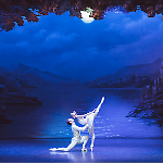 Il lago dei cigni - Balletto