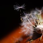 “Sguardi sulla natura” collettiva fotografica