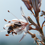 Scopri la Mostra di Fotografia Naturalistica A bordo della motonave Padus