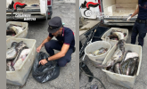 Blitz notturno: tre quintali e mezzo di pescato illegale finiscono sotto sequestro