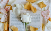 Poesia al femminile - Generazioni al confronto