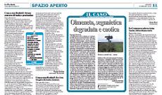 Lettere al giornale