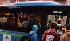 Studenti ammassati sui pullman di Km. C'è più attenzione per gli animali