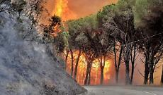 Protezione civile, altri volontari presto in Calabria