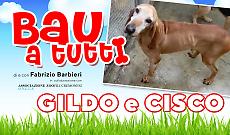 «Bau a tutti»: al canile ci sono Gildo e Cisco