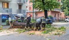 Danni provocati dal violento nubifragio: in campo tutte le forze disponibili