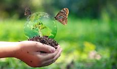 Salvaguardare la biodiversità attraverso la conservazione del Dna