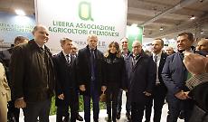 Fiere Zootecniche Internazionali, Cremona capitale della zootecnia