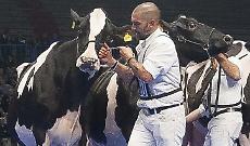 «Io sto con Cremona»
