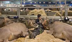 Fiere Zootecniche Internazionali, la 79ª edizione è cominciata