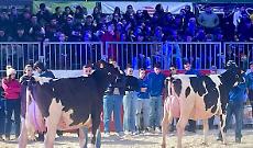 Fiere Zootecniche Internazionali, la seconda giornata