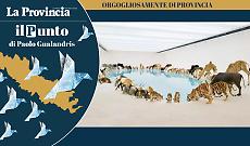 Il Kalahari siamo noi, solo insieme si sopravvive