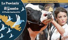 Zootecniche a Cremona: un circolo virtuoso