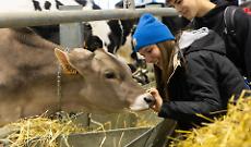 La filiera del latte conquista il centro con un evento diffuso senza precedenti