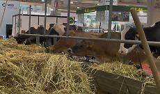 Nella stalla di CremonaFiere