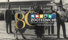 Ottant'anni di Fiere... e la storia continua