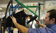 L’80ª edizione è un traguardo storico