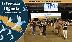 La Fiera moltiplica il fatturato di Cremona