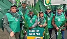 Agricoltori in piazza a Bruxelles: trattori contro Pac e Mercosur