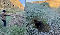 Cinghiali e tassi nel fossato delle mura: scoperte le tracce