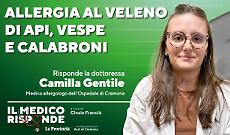 Imenotteri, allergia al veleno: quando il rischio &egrave; reale