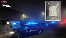 Fuga, colluttazione e mezzo chilo di droga: arrestato ventenne dopo un inseguimento