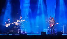 Dire Straits Reload sul palco: tutti nel &lsquo;Tunnel of Love&rsquo;