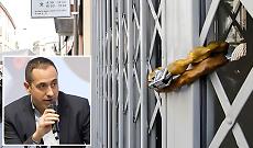 Commercio in centro, Portesani: &laquo;Virgilio e Zanacchi raccontano una citt&agrave; che non esiste&raquo;