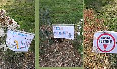 Bambini in prima linea contro i furti di siepi al parco