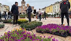 Listone in fiore in piazza, festa di colori e profumi