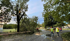 Tromba d'aria, conta dei danni pesantissima nella Bassa Piacentina