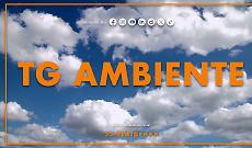 Tg Ambiente - 22/2/2026
