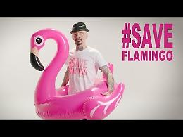 J-Ax: #SaveFlamingo, difendi i fenicotteri rosa