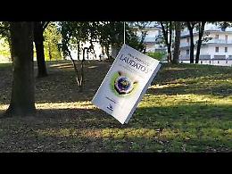 VIDEO Il blitz a Casalmaggiore, sugli alberi del parco cresce l’enciclica Laudato Si