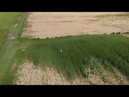 VIDEO Agricoltura, la piralide si combatte con i droni