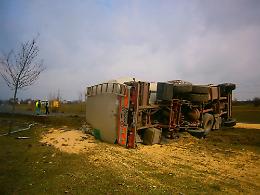 Camion si ribalta a Castelvetro, mangime ovunque