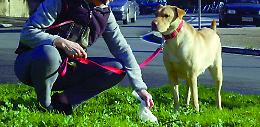 Il centro 'toilette' dei cani
