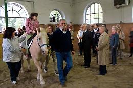 Stalloni inagibili
il Cre deve fermarsi