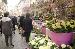 “Brixia Florum” Benvenuta Primavera!