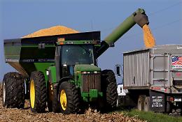 Agricoltura, 118mila euro per sette giovani imprenditori