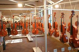 VioliNewYork