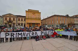 Primavera pulita, tra i rifiuti un vitello e due cani