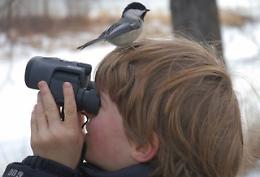Il secondo corso di birdwatching