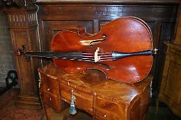 Lo Stauffer a Oxford
per Stradivarius