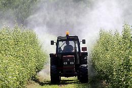 Guida il trattore con la patente falsa