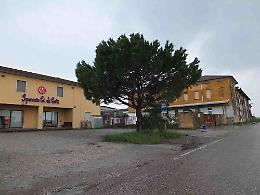 Sparite 500 forme di grana