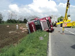 Si ribalta un camion di maiali