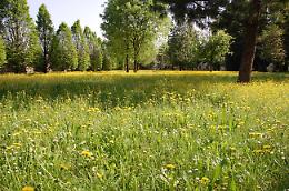 Aperto al pubblico il grandioso parco dei Musei Mazzucchelli fino al 2 giugno