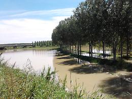 Po, a Viadana resta l'allerta. A Boccabassa evacuate 11 famiglie