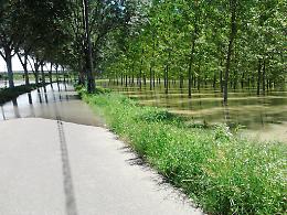 Viadana, riunione per preallarme piena del Po